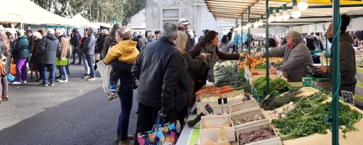 A bustling outdoor market with numerous people shopping for fresh produce. Vendors behind stands display a variety of vegetables, including carrots, greens, and onions, while customers interact and make purchases.