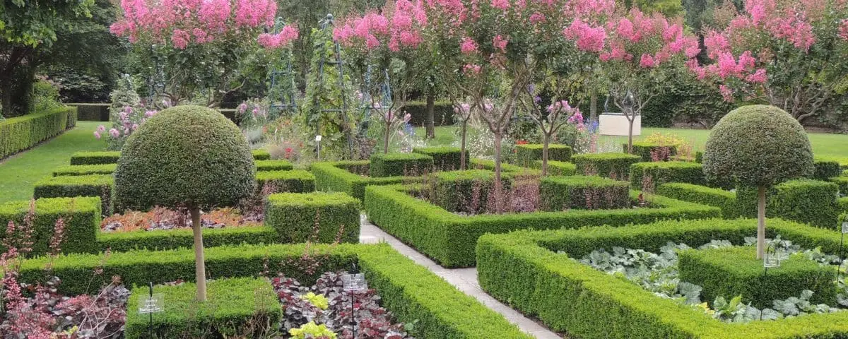 Beautifully maintained garden with topiary trees, vibrant green hedges, and blooming pink flowers.
