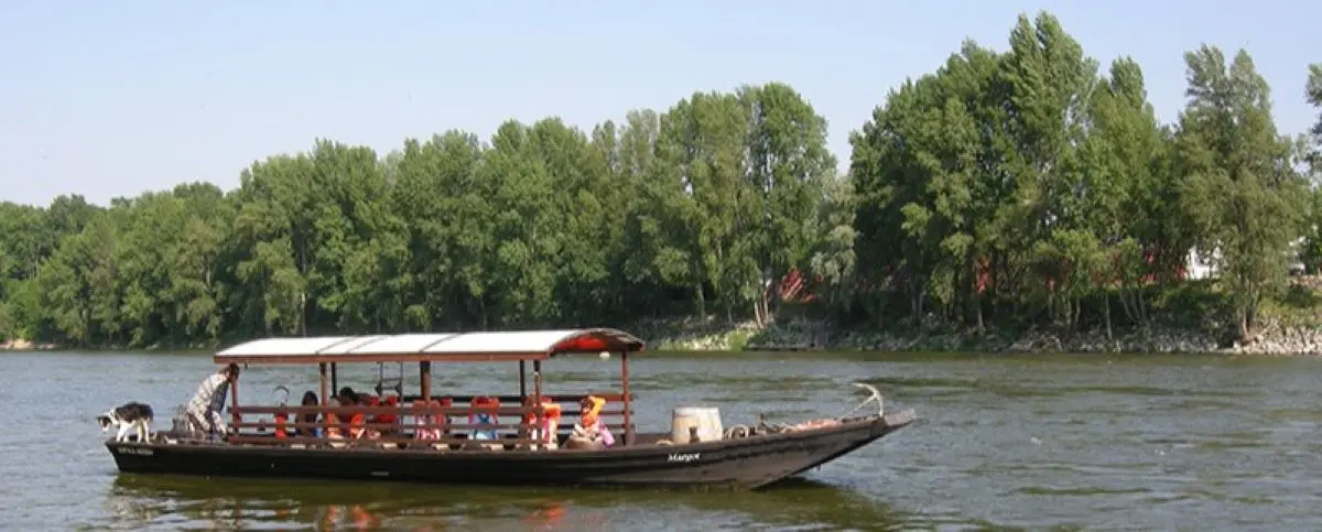 A traditional wooden boat carrying passengers cruises along a river in Tours, France, with a lush green forest lining the riverbank under a clear blue sky.
