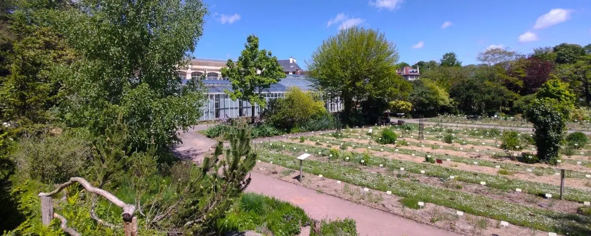 A lush botanical garden with a variety of plants and trees, featuring a greenhouse in the background. The neatly arranged plant beds and clear sky create a serene atmosphere.