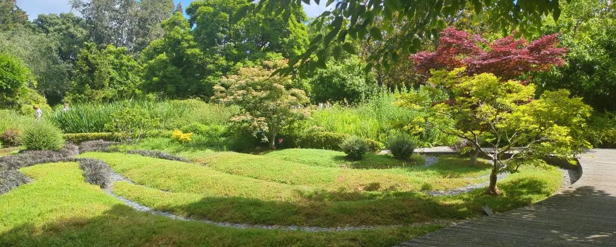 A vibrant botanical garden in Tours, France, featuring a variety of plants and trees, including a tree with bright red leaves and neatly trimmed grassy pathways.