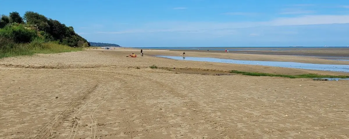 A wide, sandy beach with a few people scattered along the shore. The beach is bordered by greenery on one side and stretches into the distance under a blue sky.