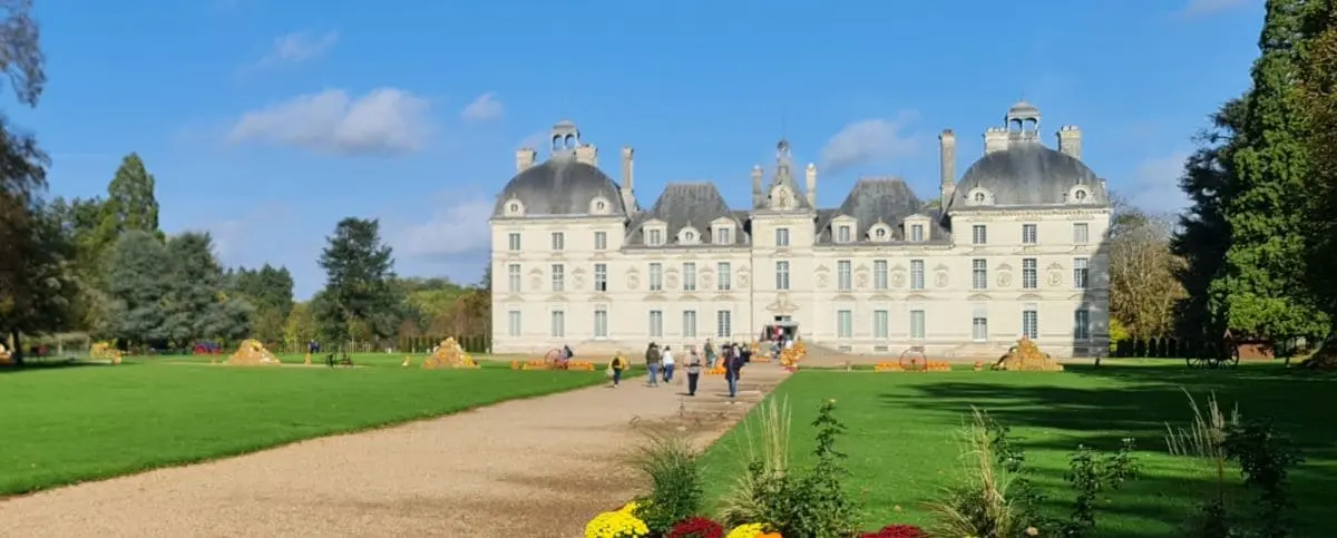 A stunning view of the Castle of Cheverny, with its impressive symmetrical architecture, manicured lawns, and a pathway leading up to the entrance, under a bright blue sky.