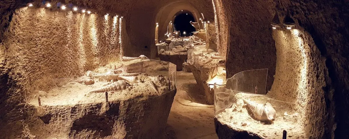 The Cave aux Coquillages Museum with illuminated exhibits displaying ancient fossilized shells and marine life within a dimly lit, rocky interior.