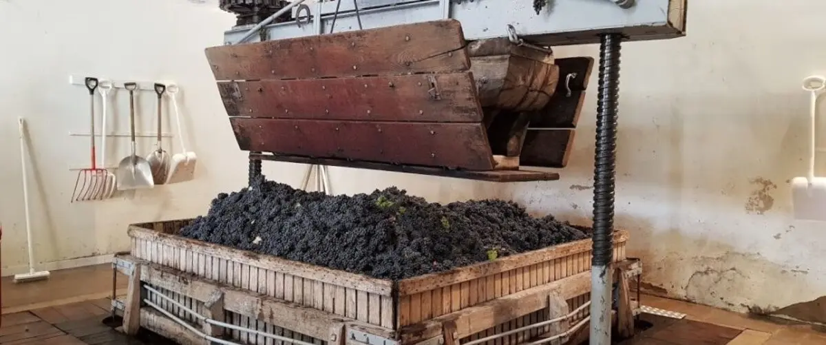 An interior view of a Champagne house in Hautvillers, displaying an old wooden grape press filled with dark grapes, with various tools hanging on the wall in the background.