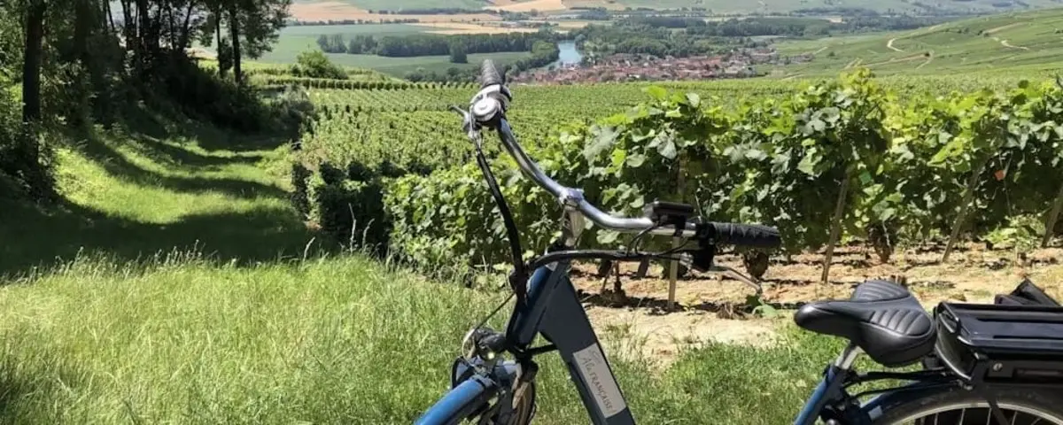 A bike parked on a grassy path overlooking lush vineyards with a picturesque view of the Champagne region in the background.