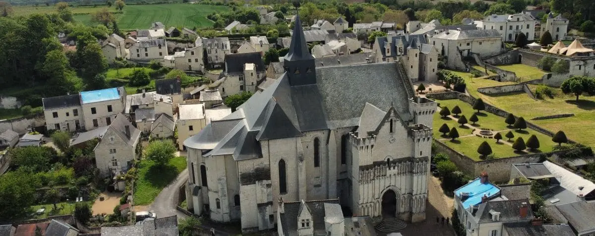 An aerial view of the grand church in Candes-Saint-Martin, surrounded by quaint houses and lush greenery in the background.