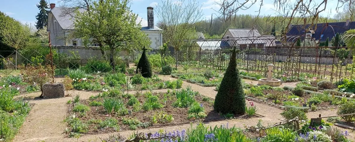 A well-maintained garden in Chédigny with various plants, trees, and shrubs arranged in neat plots, with a fountain in the background.