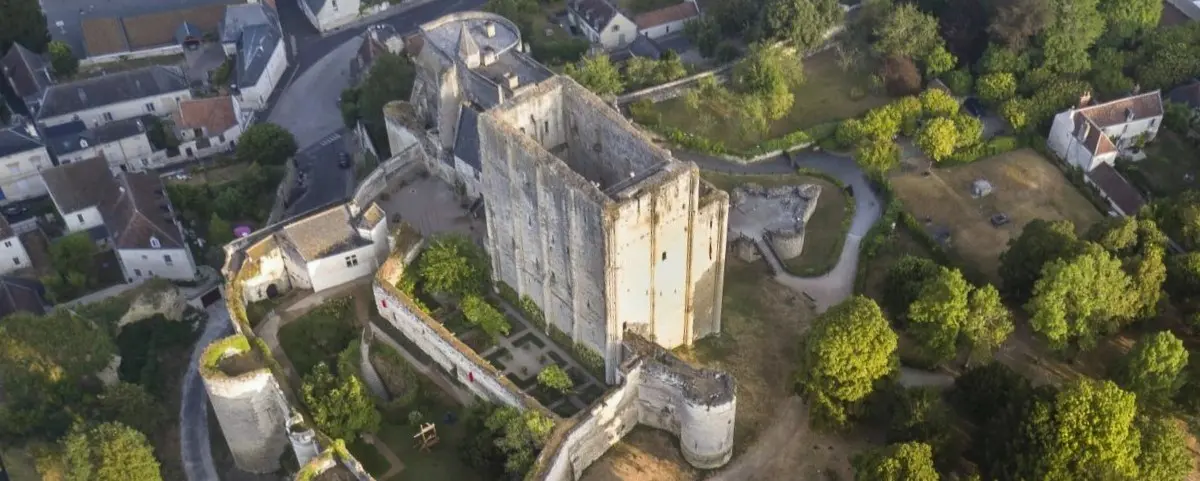 Aerial view of the medieval dungeon of Loches, showcasing its fortified walls and central tower, surrounded by lush greenery and neighboring buildings.
