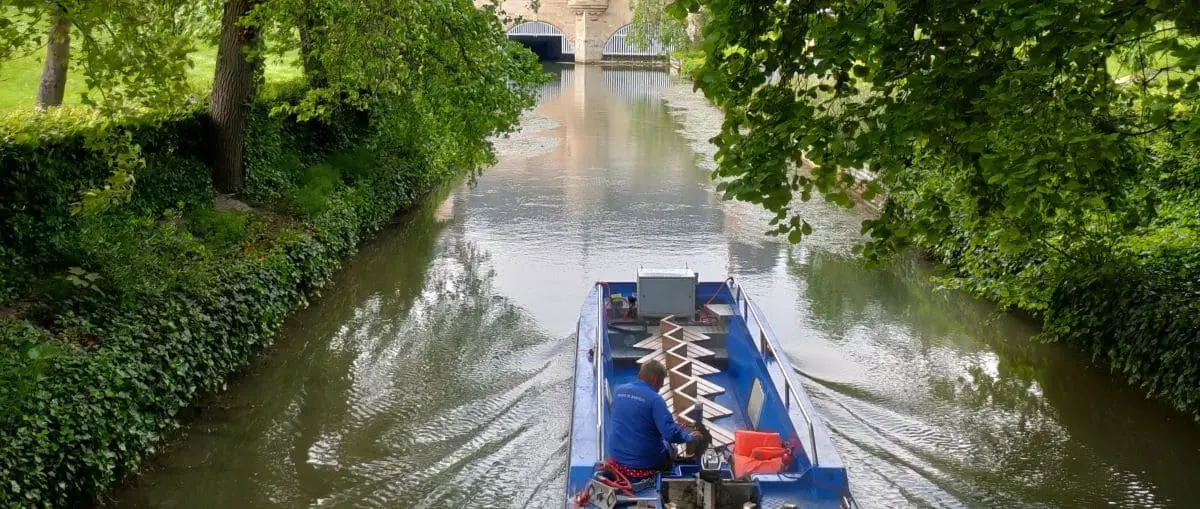 A serene waterway with lush greenery on both sides and a blue boat navigating the canal. The scene is tranquil with overhanging trees.
