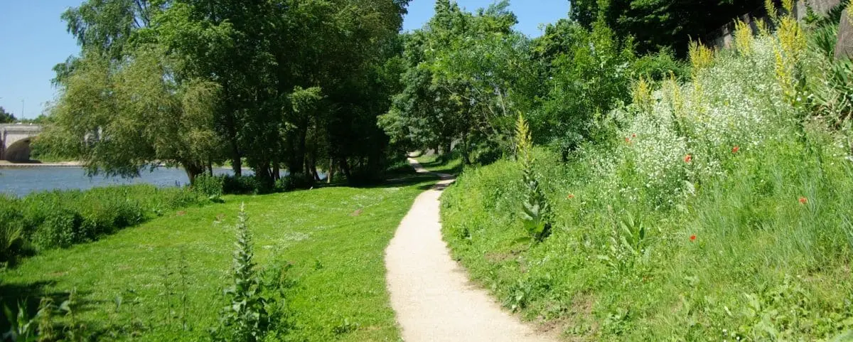 A scenic pathway along the banks of the Loire River in Tours, France, surrounded by lush greenery and trees, with the river visible on the left.