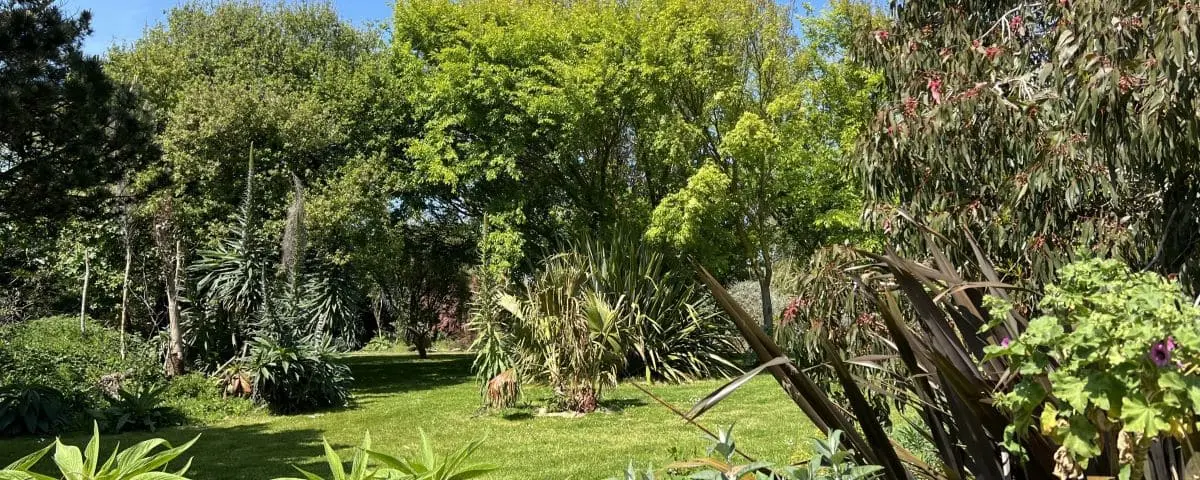 Lush maritime garden on Tatihou Island with diverse plant species and a bright green lawn under a clear sky.