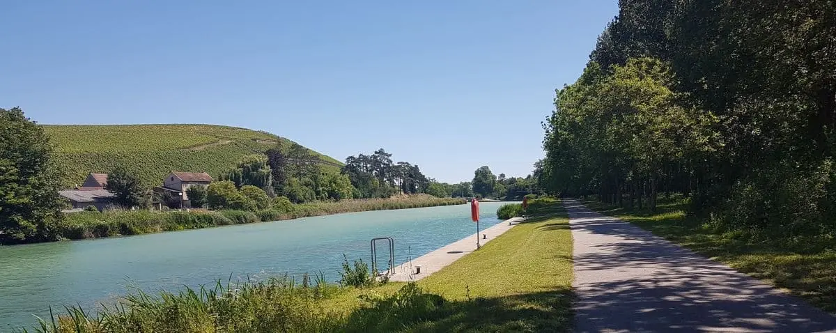 A peaceful scene of the Marne River banks with a walking path, lush greenery, and gentle water flow under a clear blue sky.