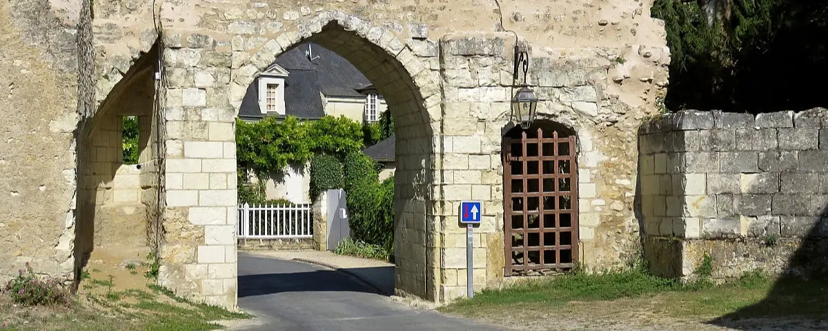 A quaint street in Montreuil-Bellay lined with historic stone houses, lush greenery, and a cobblestone pathway leading towards the village.