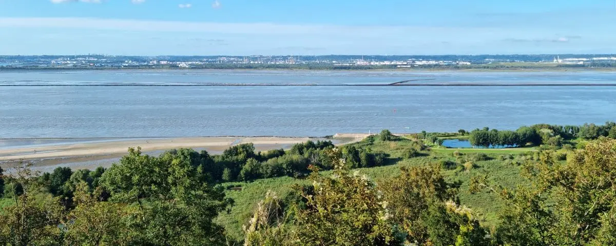 A panoramic view from Delta viewpoint, showing a vast landscape with greenery, a river, and distant cityscape. The scene includes a beach and lush vegetation.