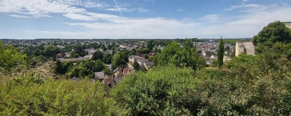 A panoramic view of the town of Amboise from a high vantage point, showing a mix of historic buildings, trees, and sprawling residential areas under a partly cloudy sky.