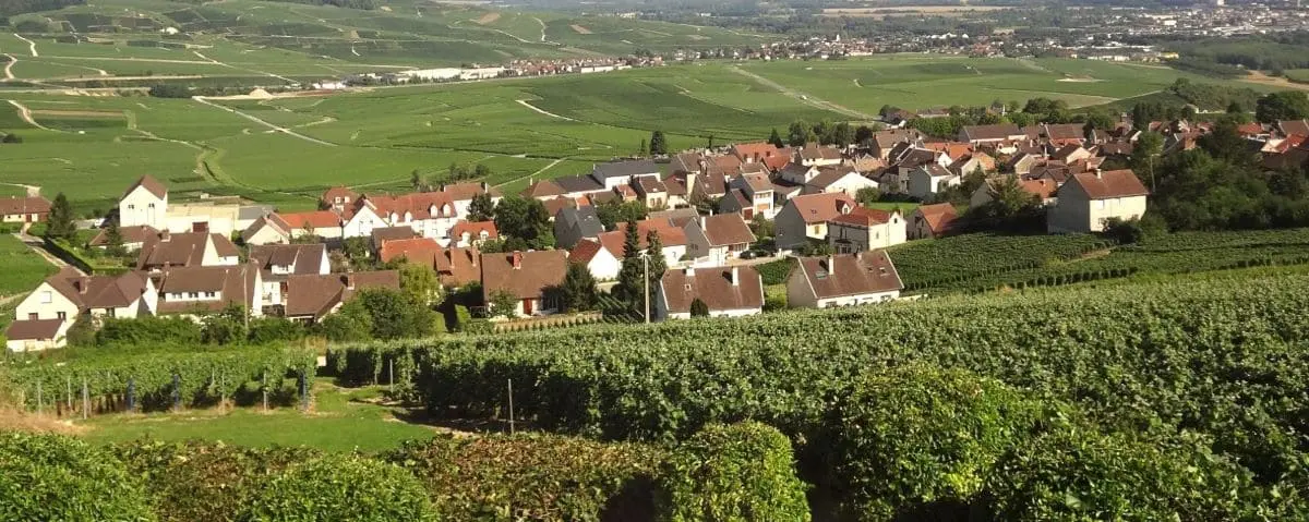 The charming village of Hautvillers nestled among green vineyards with rolling hills and a clear blue sky in the background.