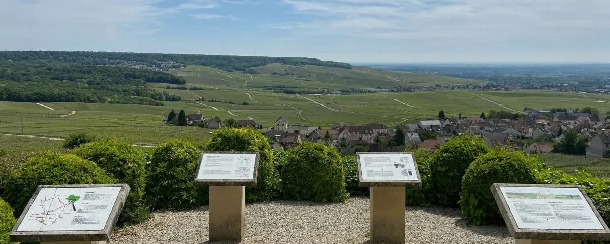 A scenic viewpoint in Hautvillers with informational plaques in the foreground, overlooking vineyards and the sprawling landscape of fields and small villages.